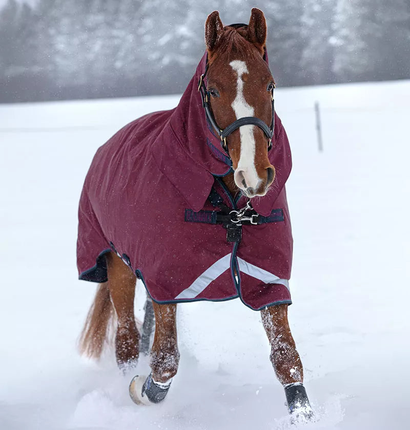 HORSEWARE IRELAND RAMBO ALL IN ONE MID WEIGHT 200G Baker's Saddlery