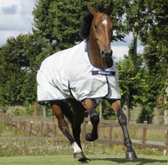 Bucas Sun Shower Turnout Horse Blankets from Baker's Saddlery