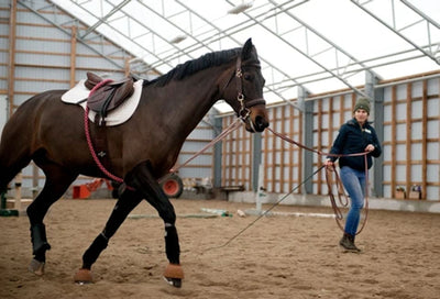 Winter horse fitness with Lianne Haberman