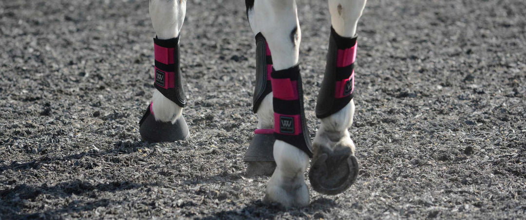 Woof Club Boots Horse Boots from Baker s Saddlery