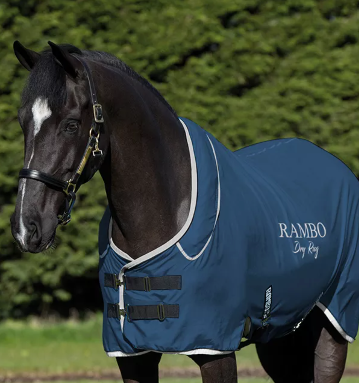 Rambo Dry Rug Supreme at Baker's Saddlery