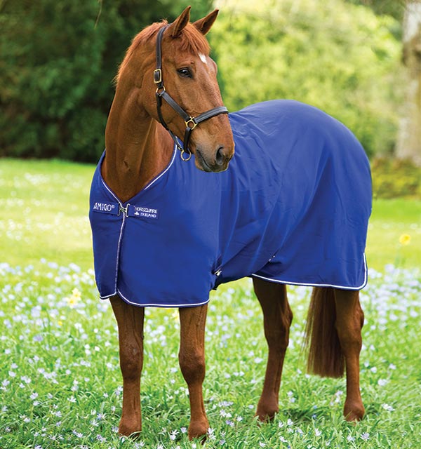 Amigo® Glacière Jersey Poney - Horseware Irlande | WhichOne Amigo® Glacière Jersey Poney - Horseware Irlande | WhichOne