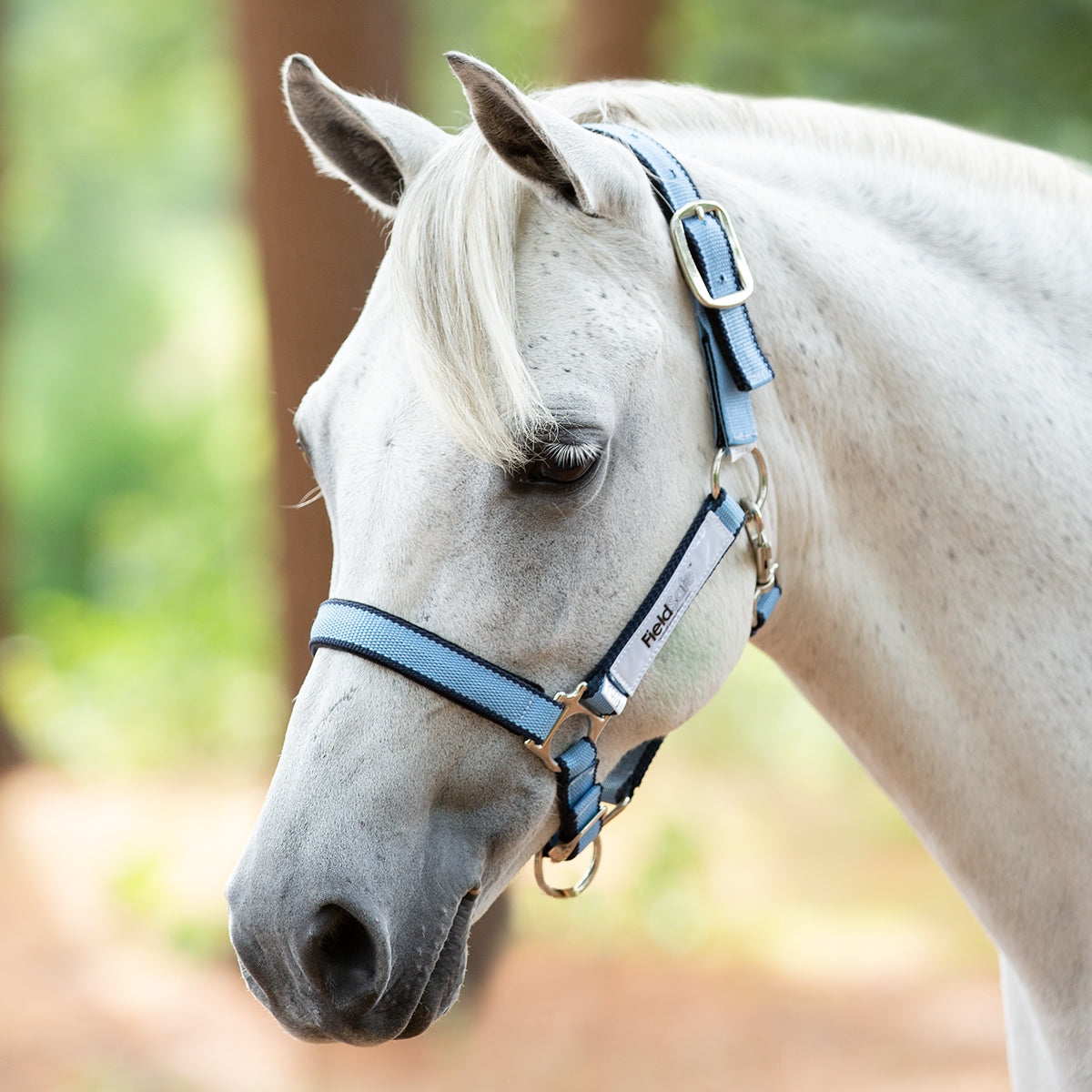 Horseware® Rambo® Protector Plus Fly Sheet | Schneiders Horseware® Rambo® Protector Plus Fly Sheet | Schneiders