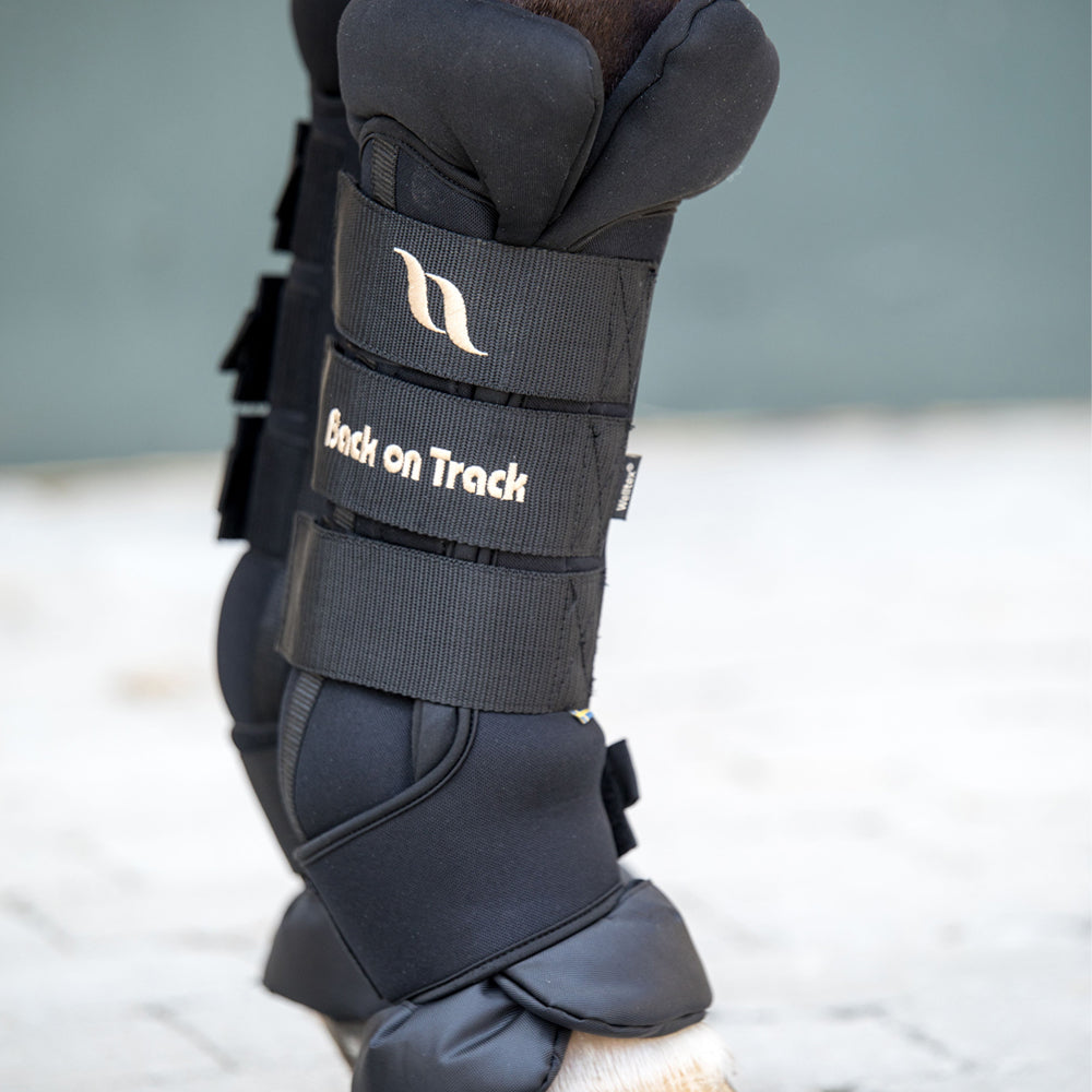 Back On Track Royal Work Boots For Horses - Flatwork Boots For Fetlock Support & Protection, Unisex-Adult
