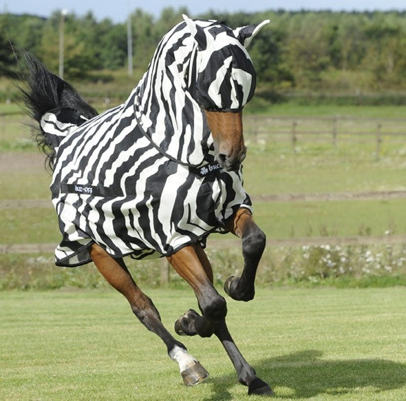 Bucas Zebra Fly Mask Fly Masks from Baker's Saddlery