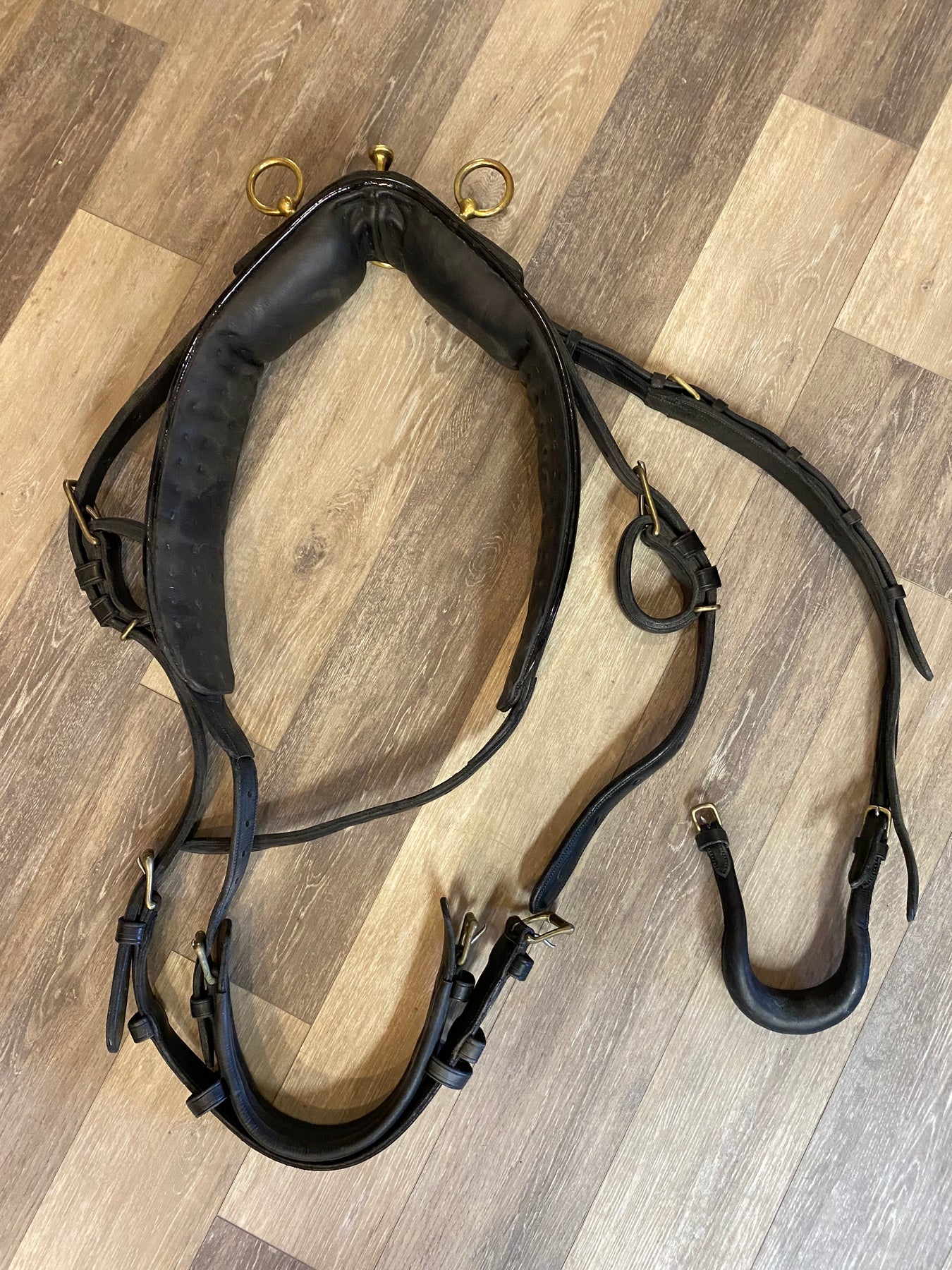 Consignment Horse Driving Harness – Baker's Saddlery