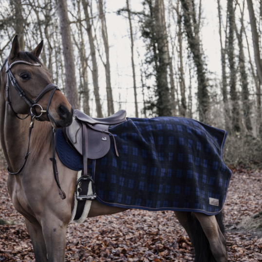 Kentucky Quarter Rug Heavy Fleece – Baker's Saddlery