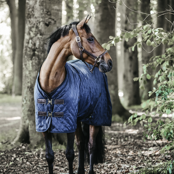 Kentucky Stable Rug 0g – Baker's Saddlery